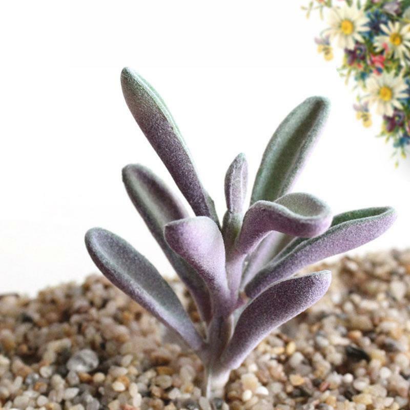 Mini Plantes Succulentes Artificielles, Fausses et Réalistes sans Pot