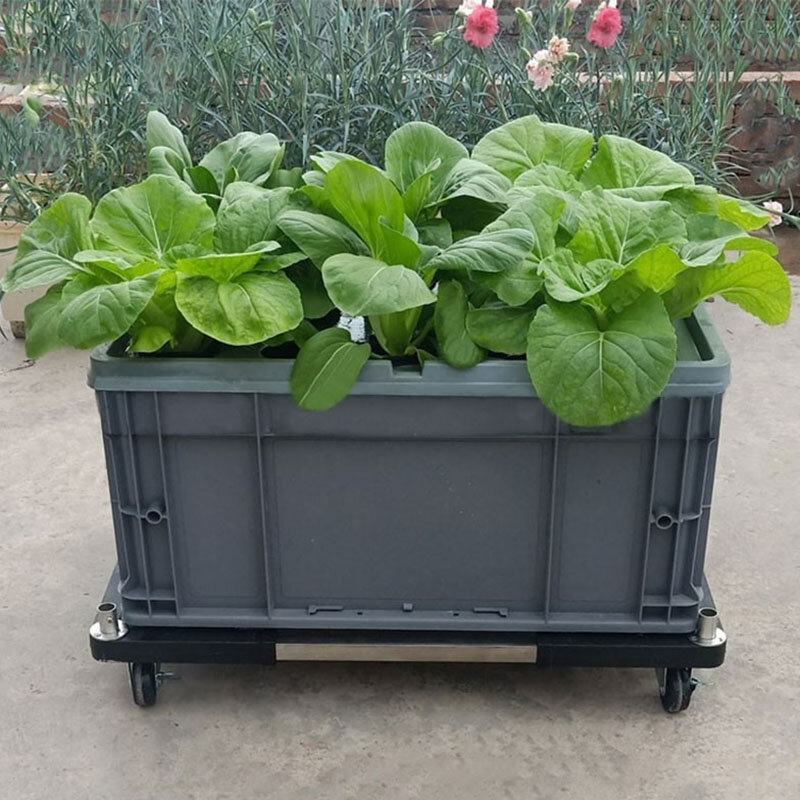 Hydroponics Growing System Indoors Smart Plant Pot Aerobic System Gardening Greenhouse Equipment Vegetable Planter Installation