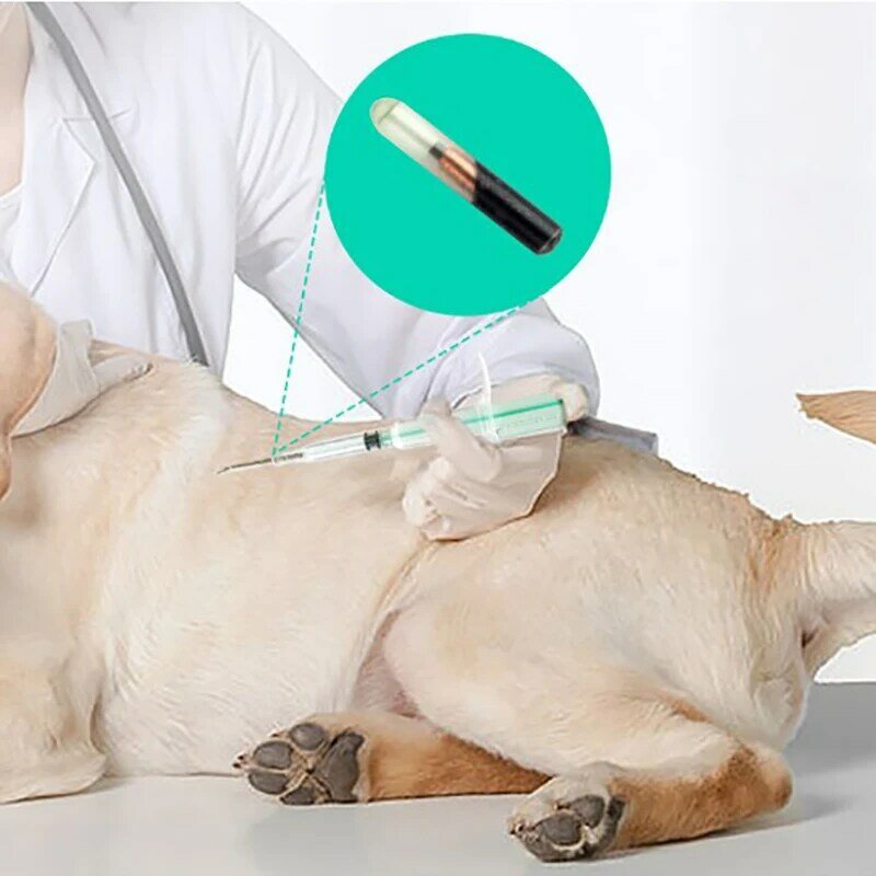 Microchip para animales domésticos, jeringa de 1,25x7mm/1,4X8mm/2,12x12mm, para caballos, perros, gatos y peces