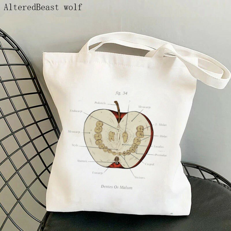 Fashion Women Shopper Handbags Song Of Achilles Custom Environmental Storage Reusable Canvas Shoulder Tote Bag school bag