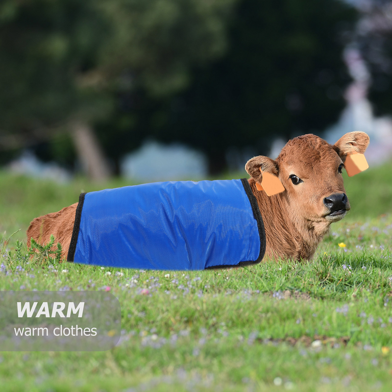Tanktops Kalb Weste Weide liefert Mantel Winterkleid ung Kuh warme Kleidung Farm bekleidung