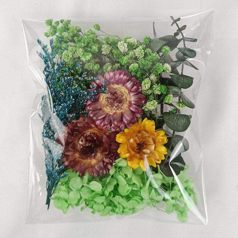 Paquete de flores secas naturales multifunción, accesorios para manualidades, decoración de epoxi, 1 unidad