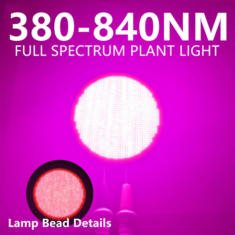 300W 식물 조명 LED 성장 조명, 피토 램프, 풀 스펙트럼 전구, 수경 램프, 온실 꽃 씨앗, 텐트 식물 램프