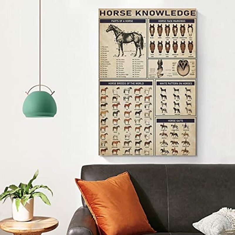 Animal Poster Horse Knowledge Metal Tin Sign Horse Breed Poster Canvas Print Wall Art Canvas Painting Poster And Prints Wall