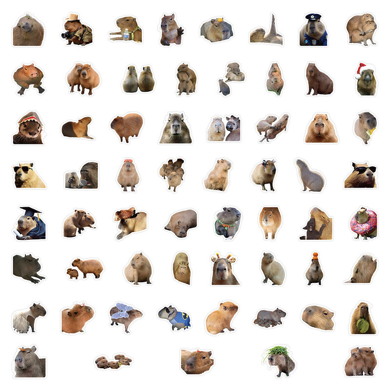 10/30/60ชิ้นสติกเกอร์น่ารักรูปสัตว์ capybara Meme สติ๊กเกอร์กราฟฟิตีตลกเคสโทรศัพท์กระเป๋ากระบอกน้ำตกแต่งน่ารัก