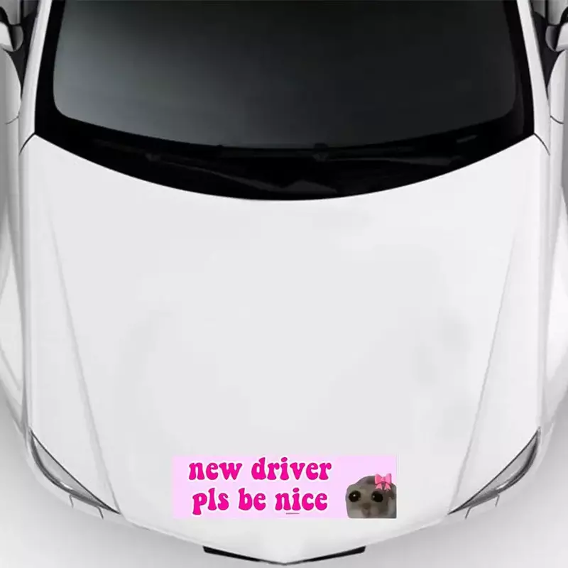Pegatinas impermeables con eslogan "New Driver Please Be Nice", letreros de advertencia divertidos, pegatinas para coche, bicicleta, motocicleta, nuevo conductor