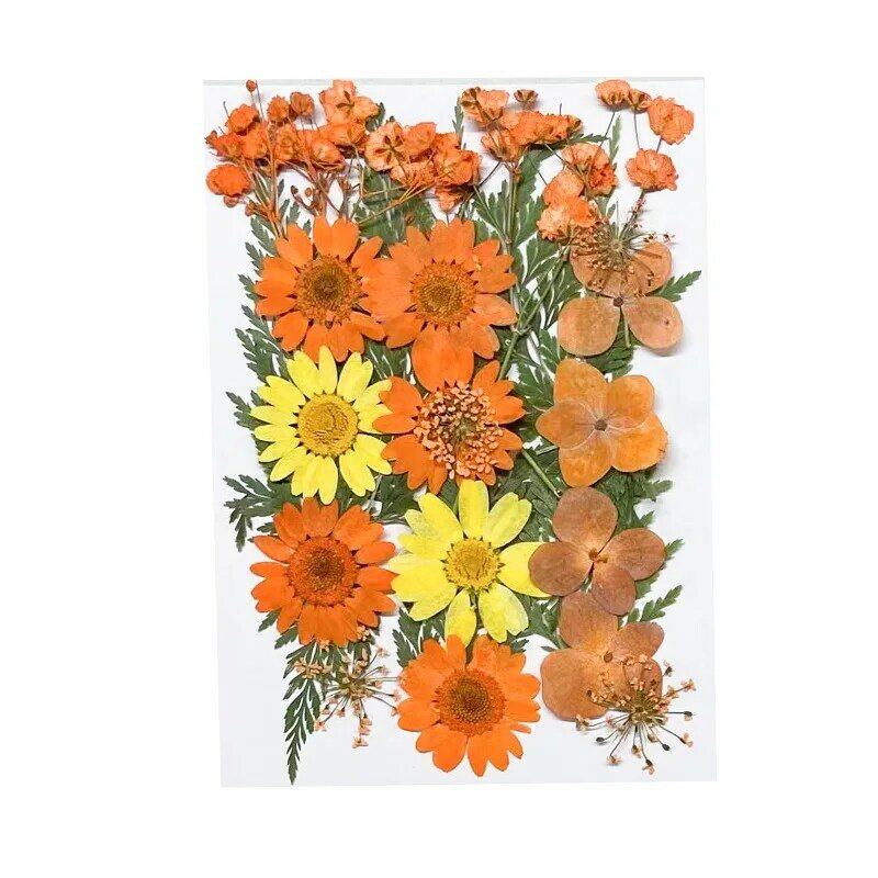 Aqumotic Secas Flores Prensadas para Velas, DIY Natural Bulk Plant para Artesanato, Material de Flor Pequena, Resina Fazendo Arte