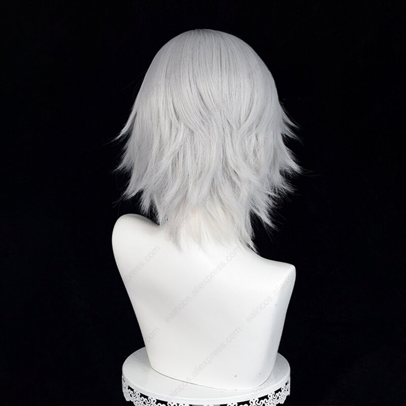 Anime Hayato Gokudera Cosplay Wig 33cm Warm Grey Short Wigs Heat Resistant Synthetic Hair