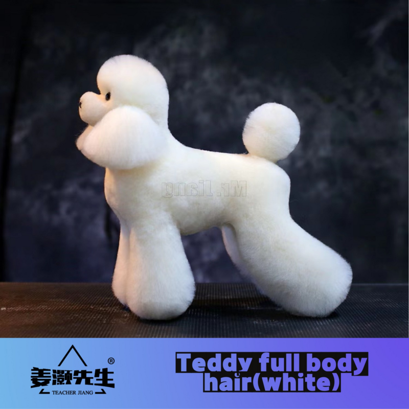 Mr.Jiang Teddy modelo de cuerpo completo para profesores de mascotas, belleza para perros de modelado de modelo de práctica, modelo de esqueleto estándar para perros, pelo falso de cuerpo entero