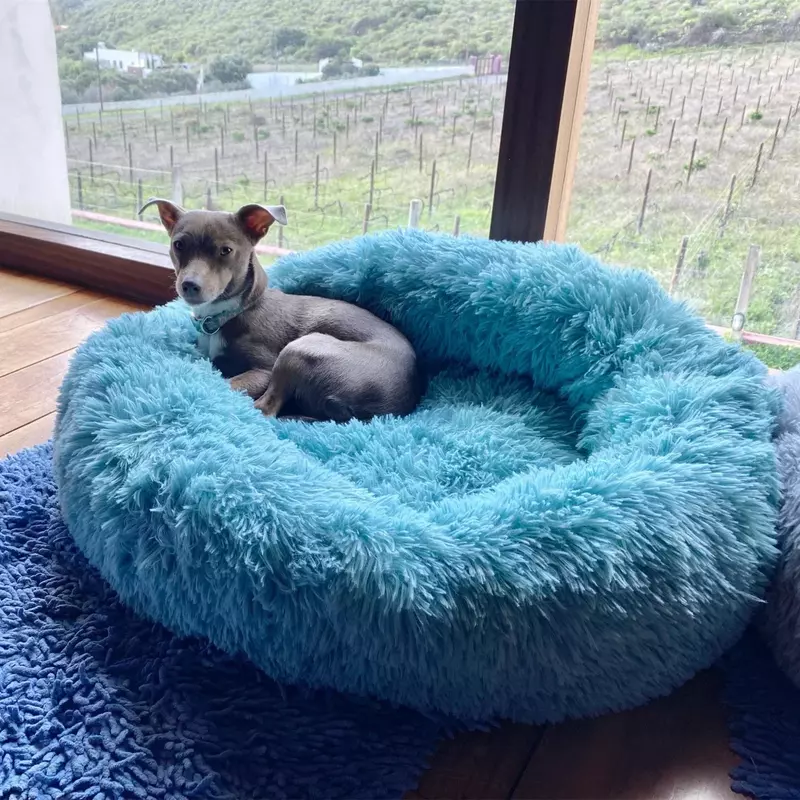 Super Soft Plush Round Cushion Bed for Pet, Cat Mat, Dog Beds, Large, Labradors House, Pet Product Acessórios