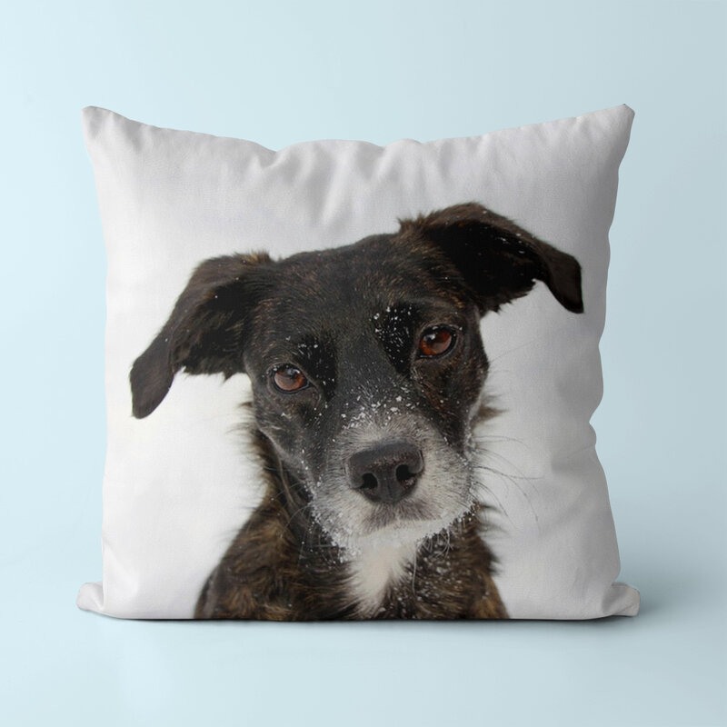Federa per cuscino per divano per cani in pelle di vacchetta quadrata in poliestere da 1 pezzo, stampa digitale, stampa senza dissolvenza, accettazione della personalizzazione 45cm * 45cm