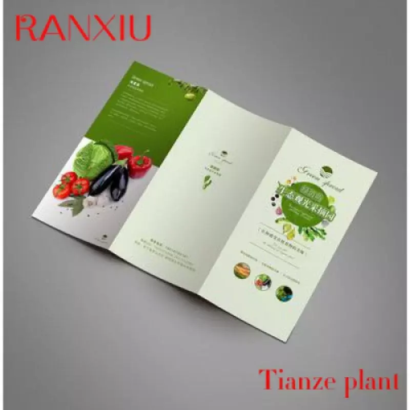 Custom 2022 printing brochure and flyer,leaflet,booklet printing in China