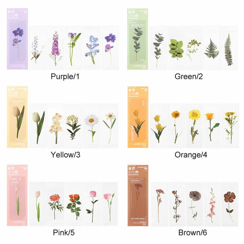 Folha de veia livro nota marcador página titular translúcido flor natureza plantas marcadores cartão espécime bookmarks