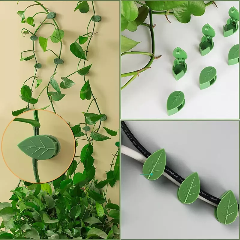 Clips de fijación de pared para plantas trepadoras, fijador de vid de ratán, gancho autoadhesivo Invisible para jardín, 10/30/50 piezas