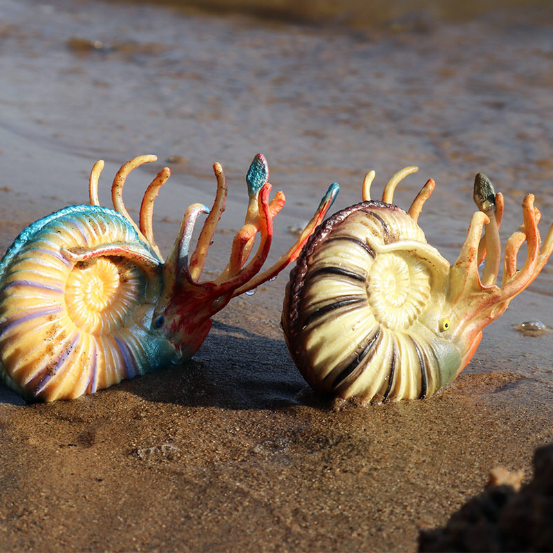 ใหม่ Sea Life Ocean สัตว์ Seahorse ปลาดาว Nautilus Hermit Crab ตัวเลขการกระทำและของเล่นเก็บของเล่นเพื่อการศึกษาเด็ก