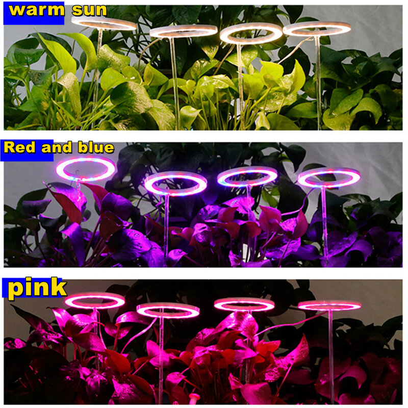 Lumière de croissance LED 8/12/16H avec minuterie, éclairage à spectre complet pour plantes d'intérieur, anneau de phytolampe Halo, lumière solaire réglable pour plantes succulentes