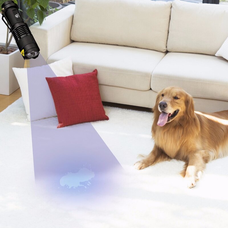 Linterna UV de 365nm, luz ultravioleta con función de Zoom, Mini luz UV negra, Detector de manchas de orina de mascotas, escorpión, uso de batería AA
