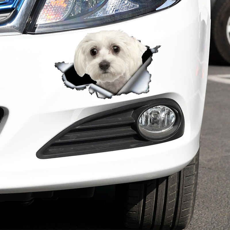 3D Zelfklevende Decal Leuke Maltese Hond Auto Sticker Waterdicht Auto Decors Op Bumper Achterruit Laptop