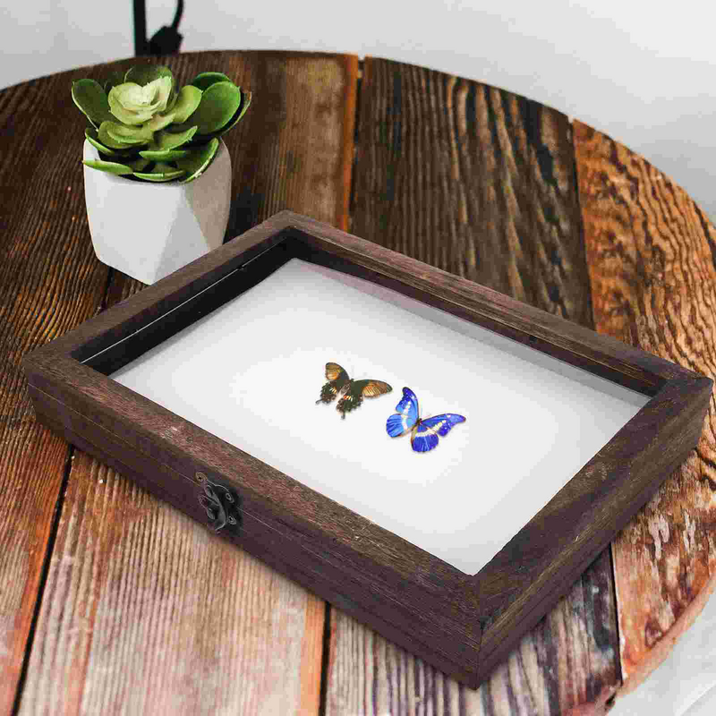 Sets Display Case Clear Glass Top for Collecting Butterflies and Bugs in Museums