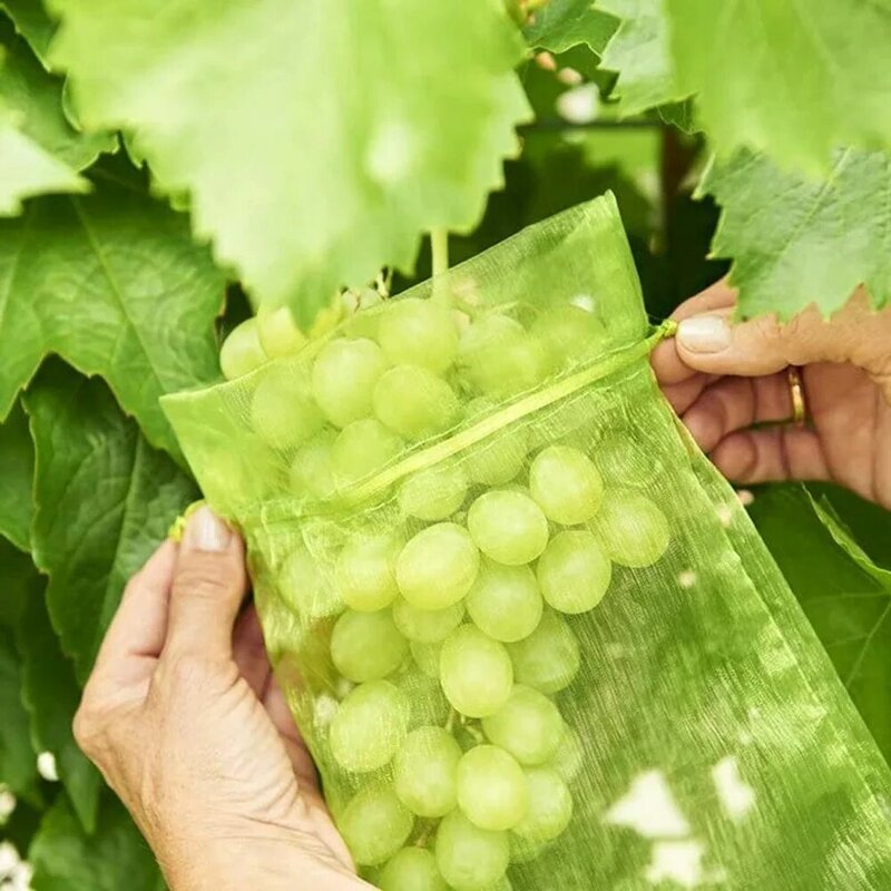 20/50/100PCS Grapes Fruit Protection Bags Garden Mesh Bags Agricultural Orchard Pest Control Anti-Bird Netting Vegetable Bags