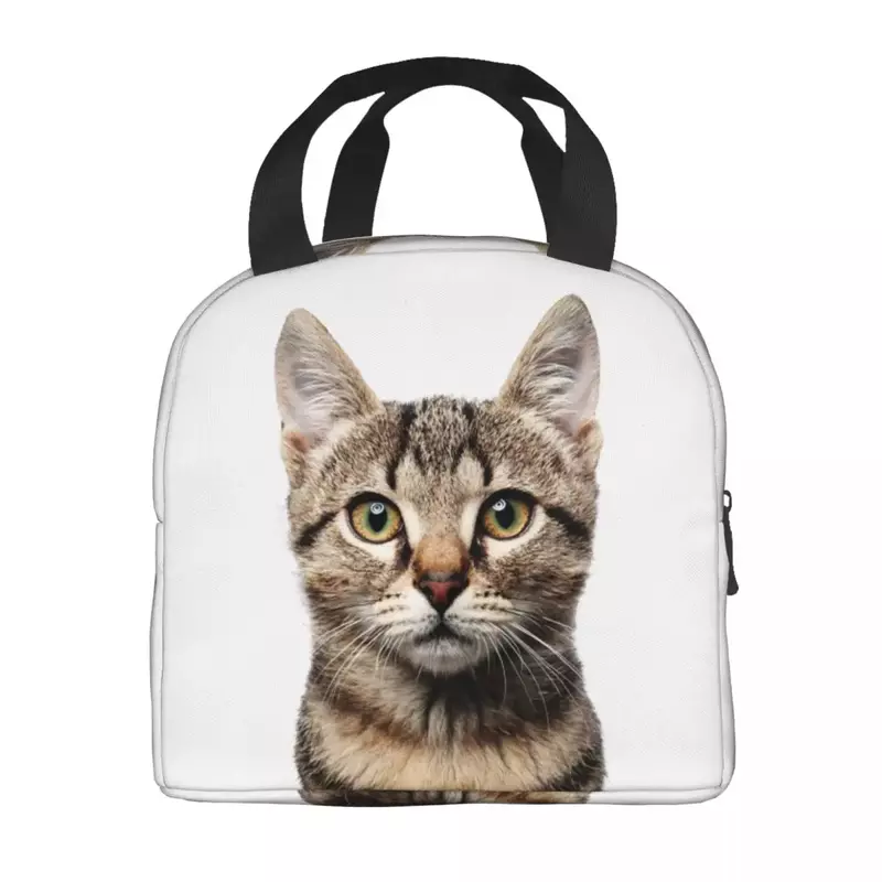 Lustige Katze Lunchbox auslaufs ichere thermische Kühler Lebensmittel isoliert Lunch Bag für Frauen Kinder Schule Arbeit Picknick tragbare Einkaufstaschen