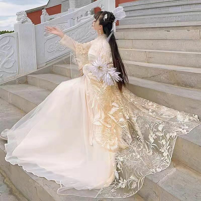 Jupe Ru de style chinois pour femmes, Hanfu de printemps, amélioration du costume de prairie, élégante et super importante, performance de danse étudiante
