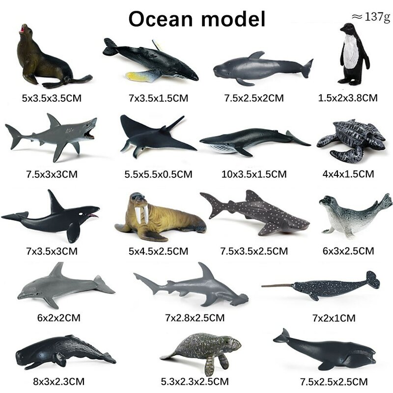 Kinder simulierte Meeres lebewesen Modell großen weißen Hai Riesen zahn Hai Walhai Tigerhai Blauwal Spielzeug Ornamente