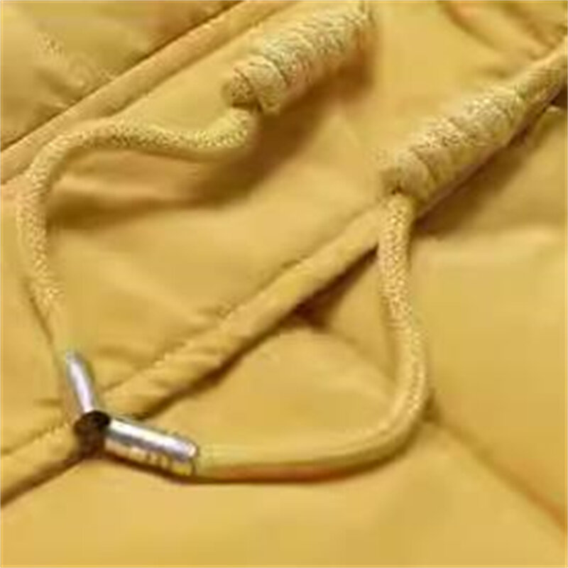 Veste d'Hiver Chaude et Épaisse en Coton pour Femme, Manteau Basique à Capuche, Grande Taille, Style Coréen, Nouvelle Collection 2024