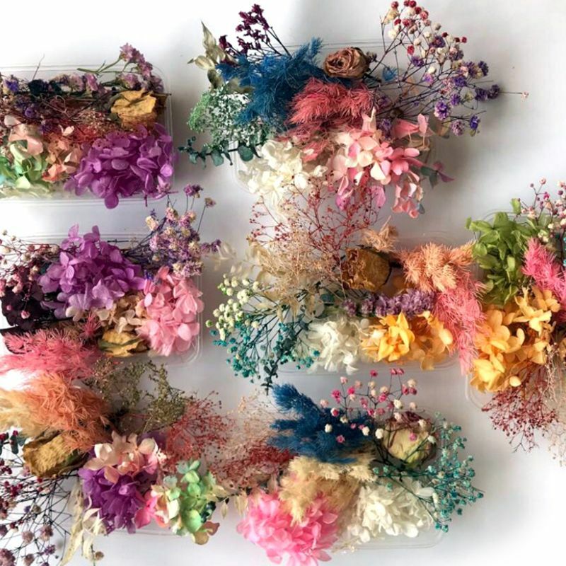 1 Kotak Bunga Kering Campuran Asli untuk Perhiasan Resin Tanaman Kering Bunga Ditekan Membuat Kerajinan DIY Aksesori Penggunaan