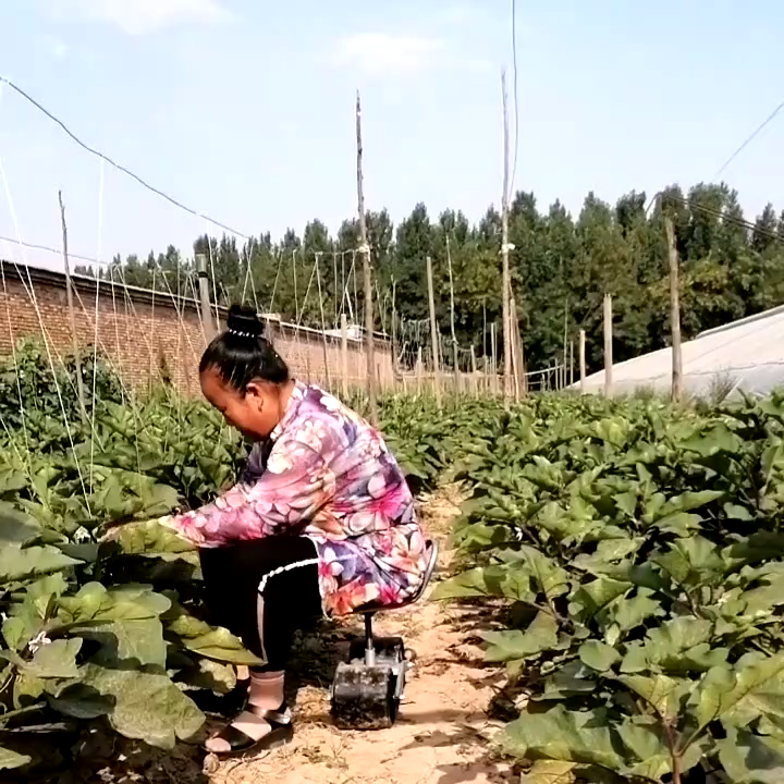 Sedia agricola rotante a 360 gradi/serra agricola da giardino sgabello pigro strumento per la raccolta di frutta e verdura banco da lavoro a mano