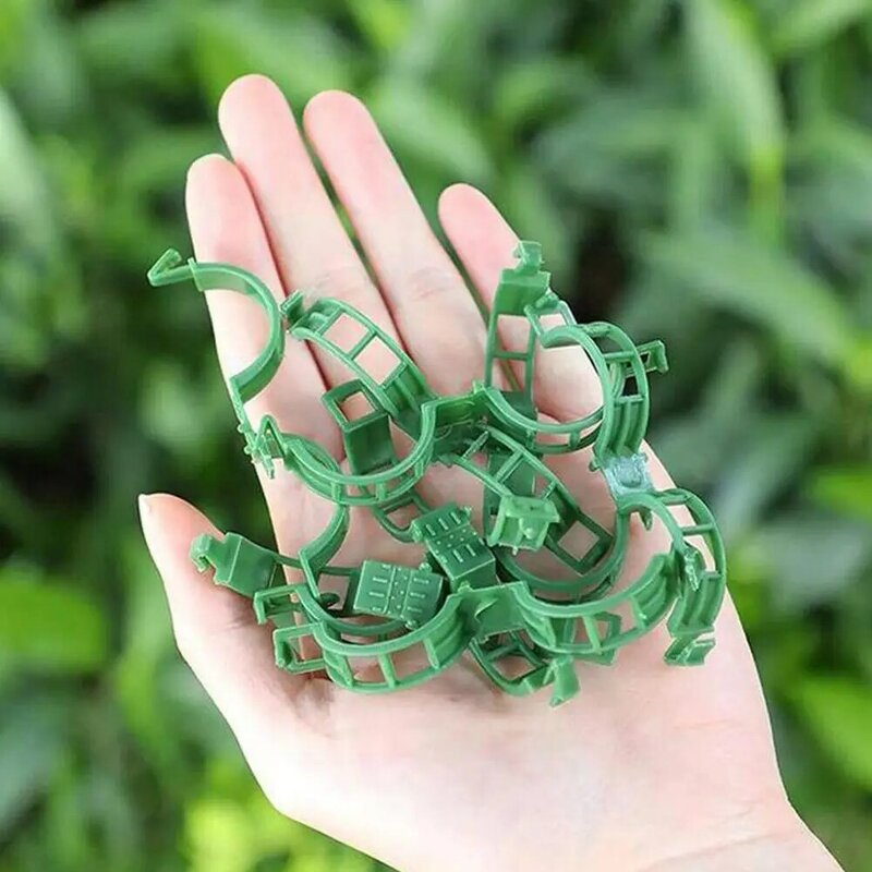 Plastic Clips For Plant Support  Binding Vine Clip Hami Melon Clip  Vine Fixing Clip  Graft Fixing Tools Can Be Reused