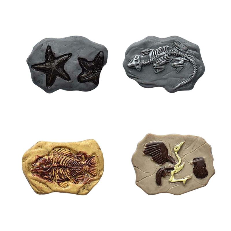 Fóssil miniatura arqueologia realista, projetos DIY, Dollhouse