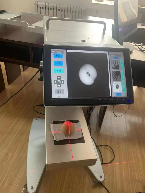Máquina do raio x da operação da cirurgia para gatos e dos, fluoroscopia da máquina do raio x, máquina do raio x do floróscopo