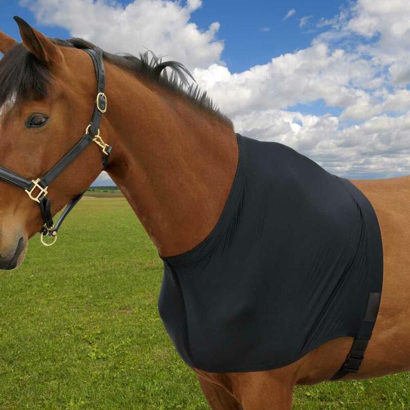 Juste de protection légère pour cheval, équipement ventilé respirant pour le ventre