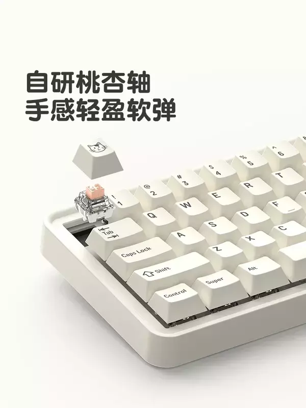 ATA-Kit de clavier mécanique sans fil M65, 3 modes, Bluetooth 2.4G, échange à chaud, RVB, joint rétro4.2, claviers de jeu de bureau, cadeaux