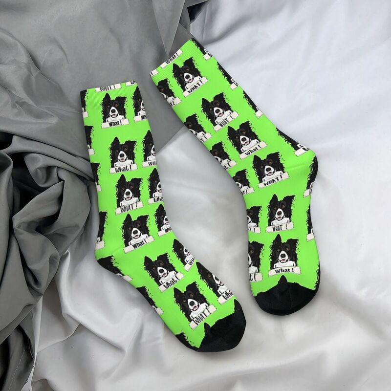 Border Collie What Stickers And Gifts Socks Harajuku Absorbing Stockings All Season Long Socks Accessories for Unisex Gifts