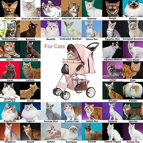 Cochecito de Mascota para perros pequeños y CatsQuick, cochecito de viaje portátil plegable con cesta de almacenamiento y portavasos, 4 ruedas