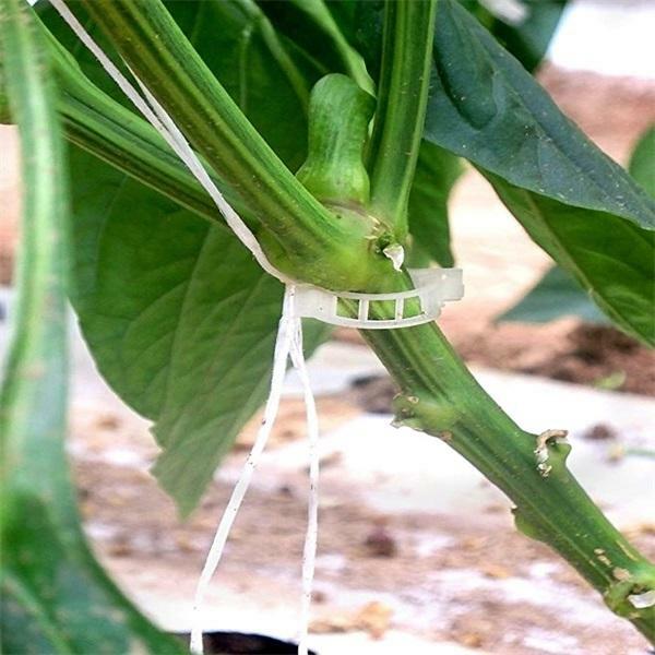 Gesicherter Pflanzen Kunststoff klip Plastikowe klipsy do roślin Wsporniki łączy Ochrona wielokrotnego użytku Narzędzie do mocowania szczepienia Ogrodnictwo Su
