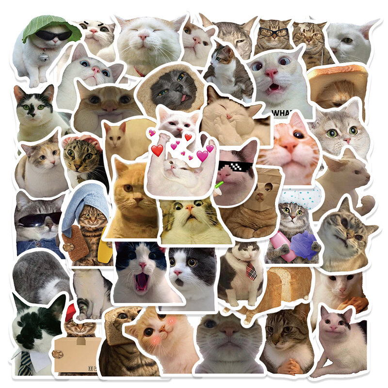 Engraçado gato Meme impermeável Graffiti adesivo, estética decorativa, bagagem, laptop, telefone, guitarra, recados, crianças adesivos, 10 pcs, 30 pcs, 50pcs