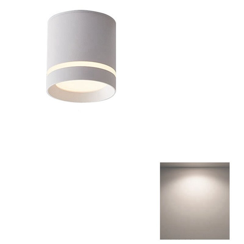Spot Lumineux LED pour le Plafond, Montage en Surface, 12W, 220V