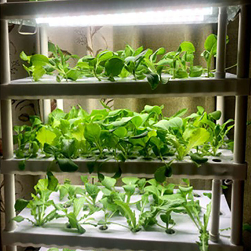 Sistema hidropônico Cultivo sem solo Jardim vertical artificial Smart Indoor Planter System Estufas Equipamento jardinagem