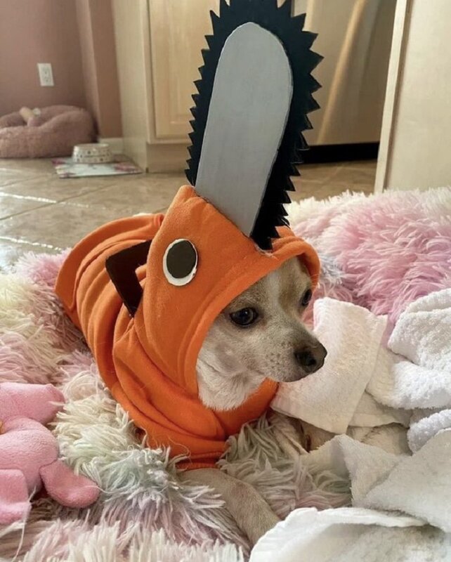 Anime Chainsaw Man Pochita zwierzęta przebranie na karnawał dla kota pies zwierzęta jednolite moc Denji śliczne zwierzęta pomarańczowe stroje ubrania