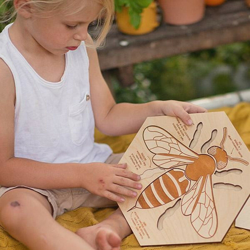 꿀벌 해부학 구조 나무 다층 퍼즐, 어린이 학습 인지 퍼즐 장난감 선물