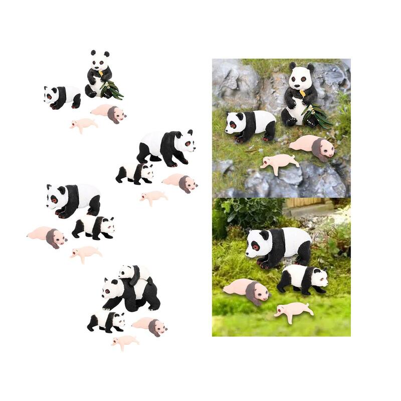 Modelo de ciclo de vida de animales Panda, 4 piezas, accesorios para el aula, suministros de juguetes educativos, figuras de crecimiento de Panda para niñas y niños