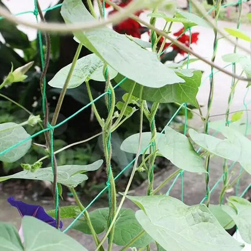 Plant Climbing Netting High-quality polyester Plant Trellis for Garden Vine Climbing Vegetable Loofah Morning Glory Flowers Grow