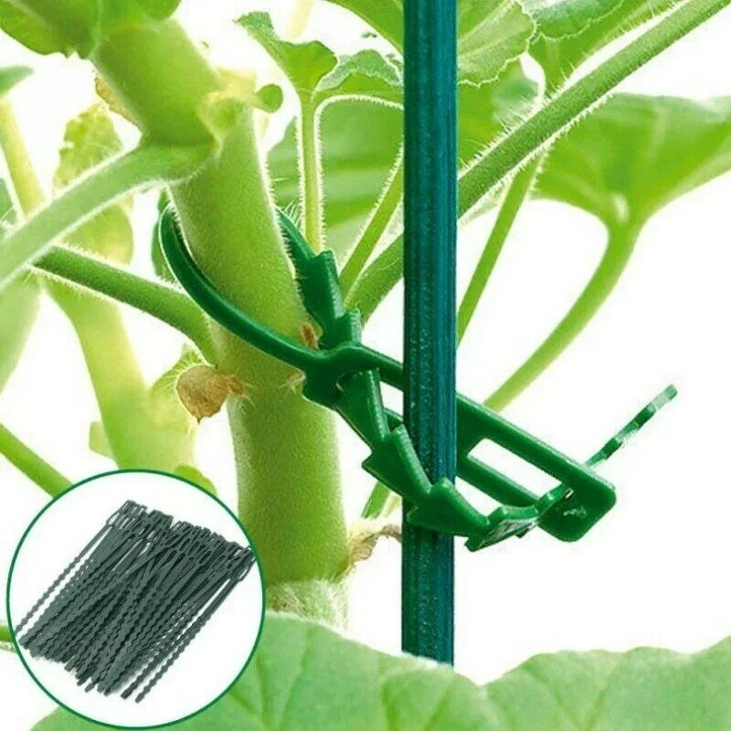 Sujetadores de cables reutilizables para jardín, sujeción de plástico autoblocante, soporte ajustable para plantas, arbustos, lazo de cremallera, envoltura de alambre, 50 piezas