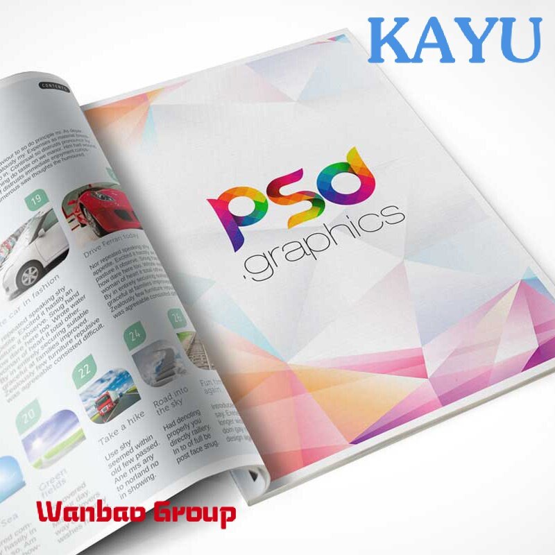 Folleto de revista publicitario A4 personalizado, diseño profesional, impresión colorida