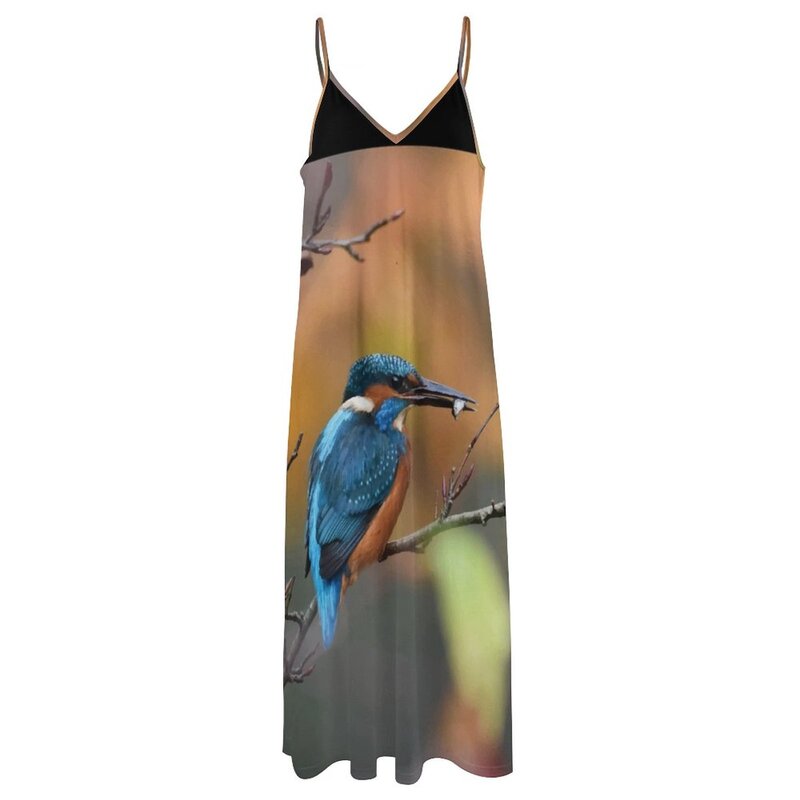 Vestido sem mangas feminino Belted Kingfisher Bird Aquarela, vestidos de festa elegantes, celebridade de luxo