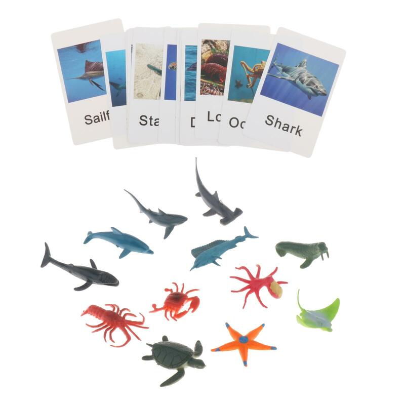 플래시 카드 포함 몬테소리 동물 피규어, 가정 학교 과학 인지 유치원 교육 보조용 교육 매칭 게임