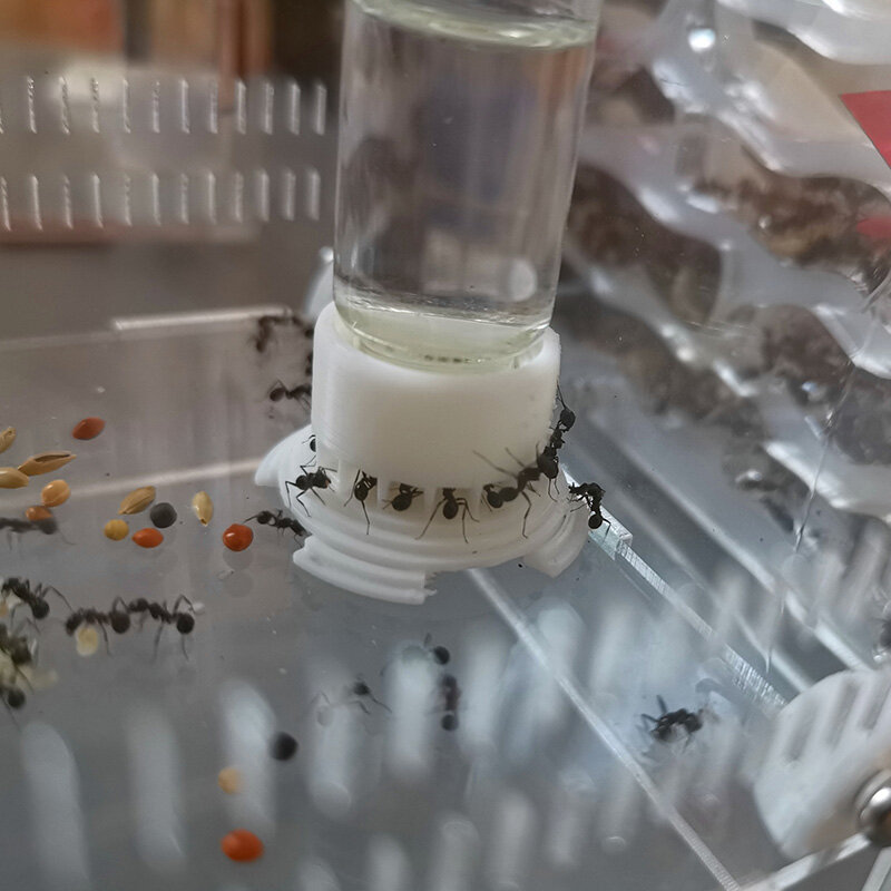 Fourmis ferme zone d'alimentation, bol d'eau pour fourmis fourmilière nid de fourmis grande capacité chargeur d'eau maison bouteille de boisson atelier